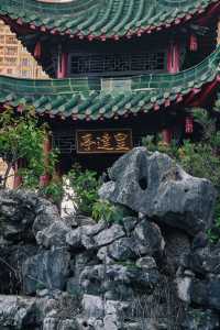 深圳｜ 市中心的一片寧靜！