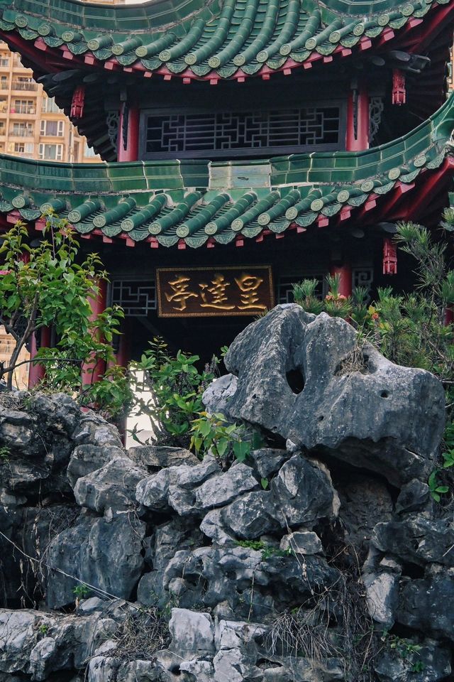 深圳｜ 市中心的一片寧靜！