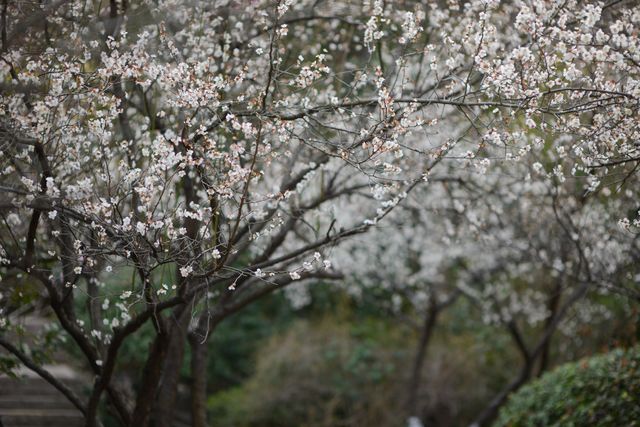 春遊徐州金龍湖宕石公園，小驚喜小確幸不斷，真是一處親子遊樂園