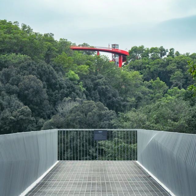 深圳踏青|穿行在城市山林中的天空之境