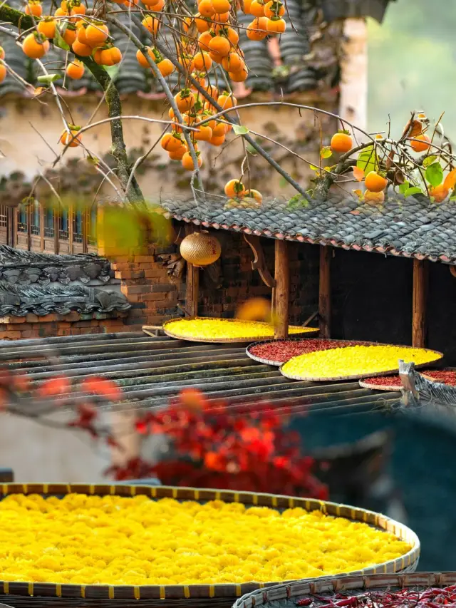 Wuyuan in autumn is absolutely stunning, as rated by National Geographic