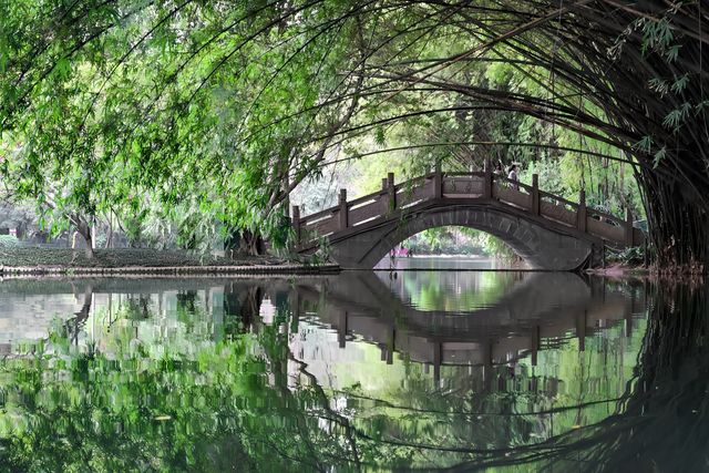 成都古風園林的天花板/棠湖公園～