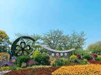 不到三小時就逛完了顧村公園