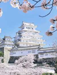 Beautiful Himeji Castle in Japan🇯🇵❤️