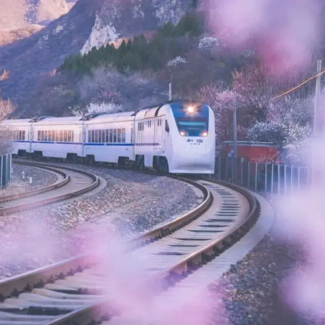 Spring Journey on Beijing Metro Line S2 🚇🌸