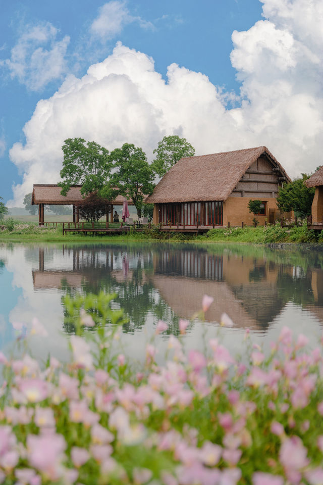 The early summer beauty of Liangzhu in Hangzhou is absolutely stunning, akin to the idyllic countryside depicted in comics.