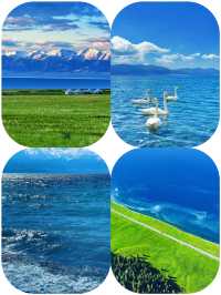 賽里木湖，夏日的夢幻仙境之旅！！