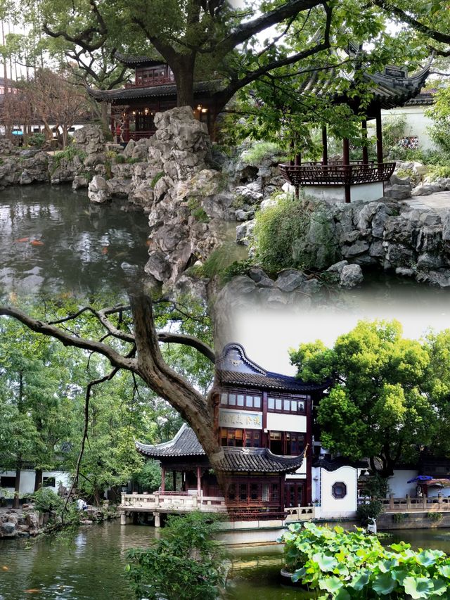 春天去豫園，這樣玩最嗨