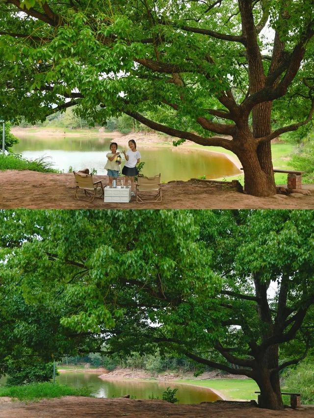 成都1h|開車直達的夏日湖畔露營地！