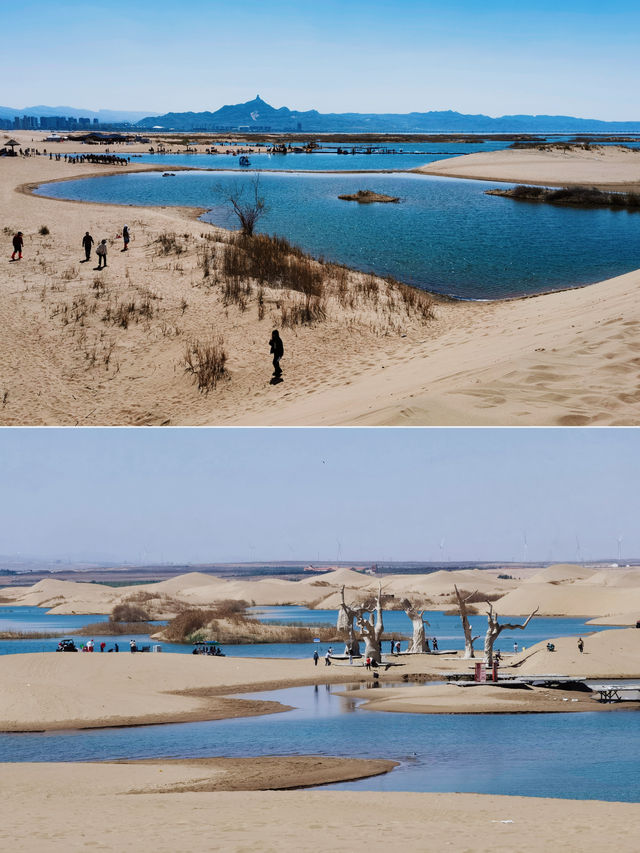 烏海夏日旅遊｜沙漠裡玩水上項目 坐船打卡網紅枯樹