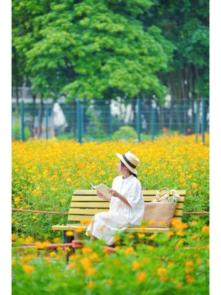 낭만적인 경고를 퍼뜨리지 마세요! 저는 이 무인화해를 너무 사랑합니다