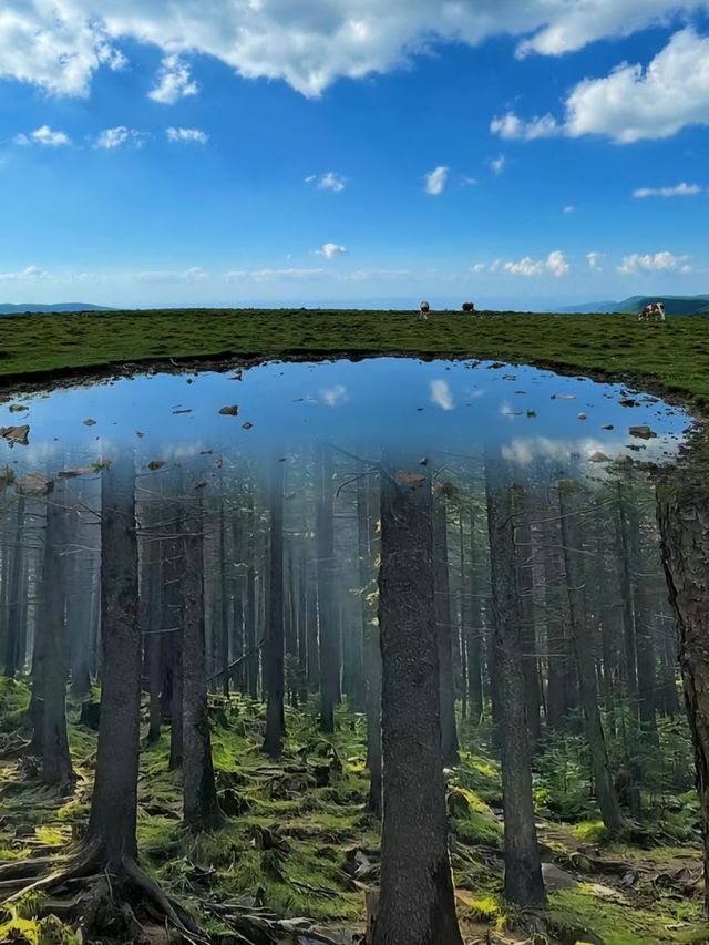 北方的香格里拉…芦芽山景區