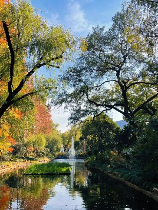 地鐵直達,踏青、露營、看動物,上海遛娃必逛~