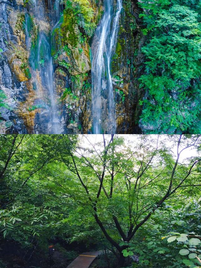 洛陽周邊避暑聖地～王府竹海