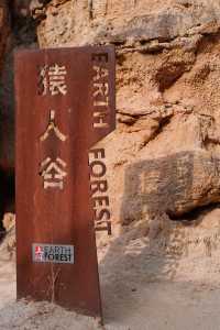 帶你夏日徒步元謀物茂土林