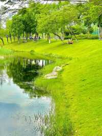 在成都！！！我唯一想去無數次的公園！！