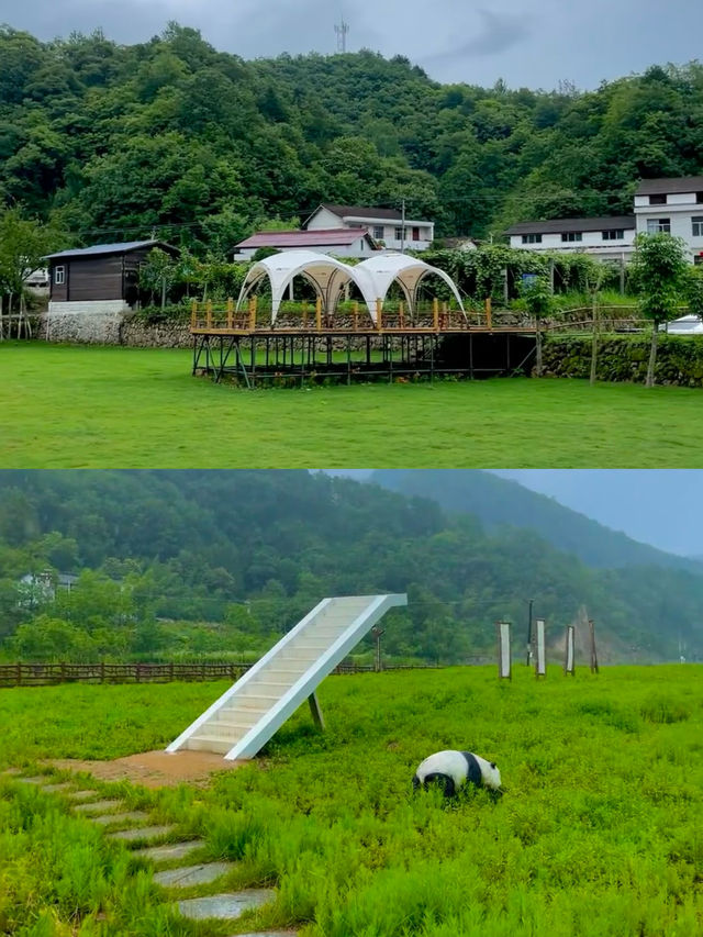 豐富的物種、茂盛的植被和山水風光