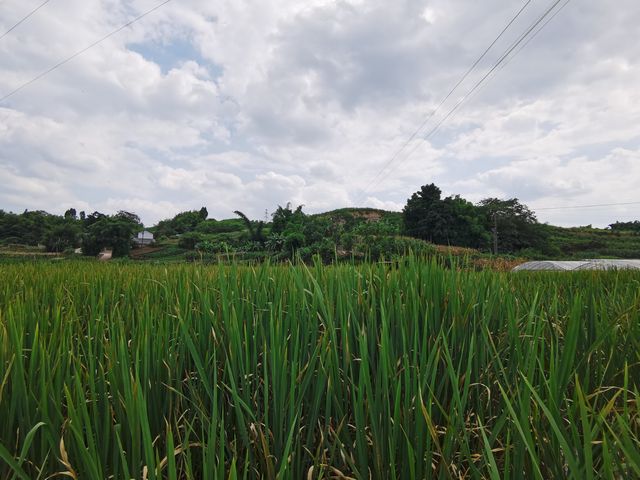 雨過天晴的內自邊界行