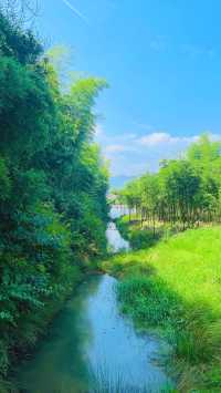 在莫干山闖入童話裡的小木屋