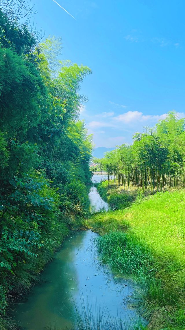 在莫干山闖入童話裡的小木屋