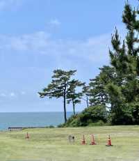日本 福井 荒矶遊步道
