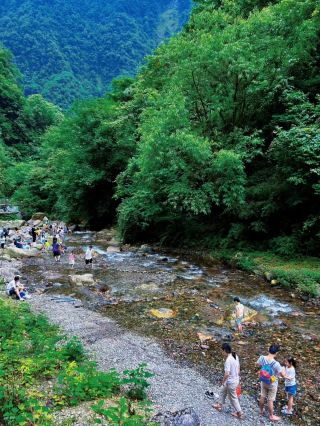 Within 2 hours from Chengdu, there is a good spot for watching monkeys play in the water and for light hiking