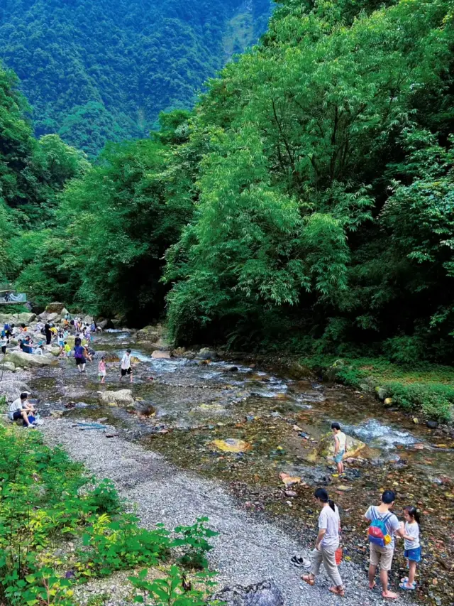 Within 2 hours from Chengdu, there is a good spot for watching monkeys play in the water and for light hiking