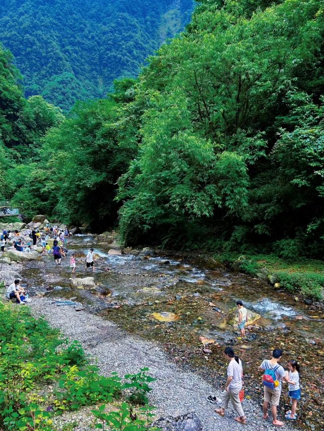 成都周邊2h，看猴子耍水輕徒步好去處