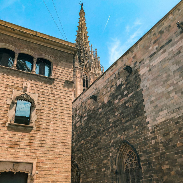 Barcelona’s Gothic Cathedral is Spectacular 🇪🇸