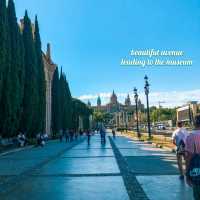 Beautiful Scenery Outside National Museum of Art in Barcelona 🇪🇸