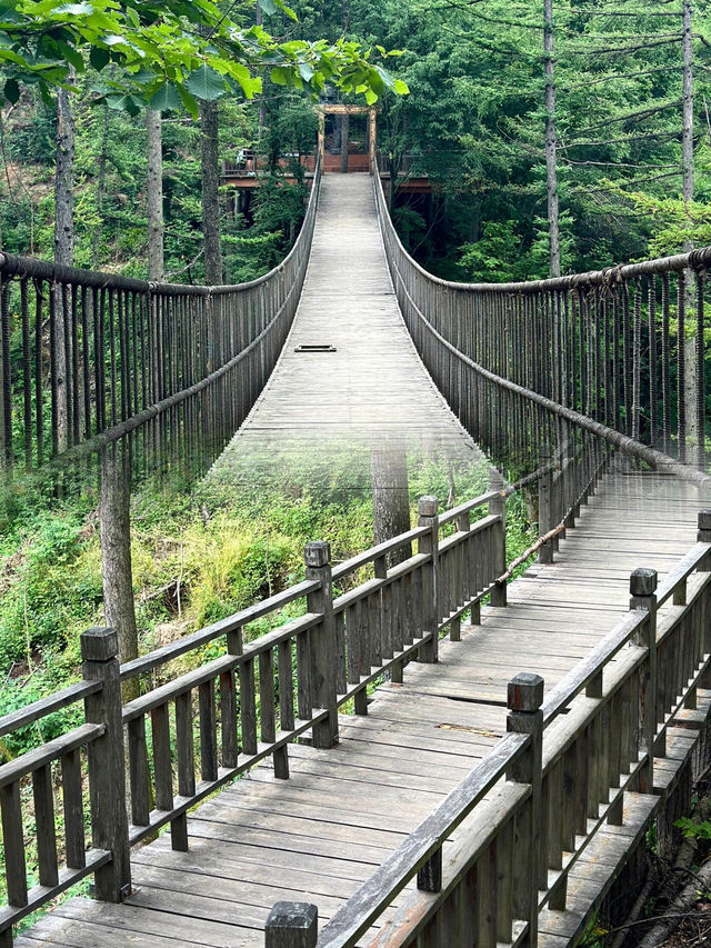 洛陽龍峪灣森林公園，夏日裡的一抹清涼
