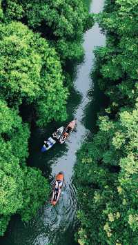 上海青浦小亞馬遜免費皮划艇清涼避暑吸氧天花板