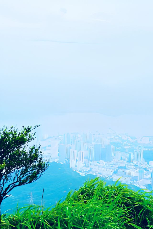 梧桐山登山路線