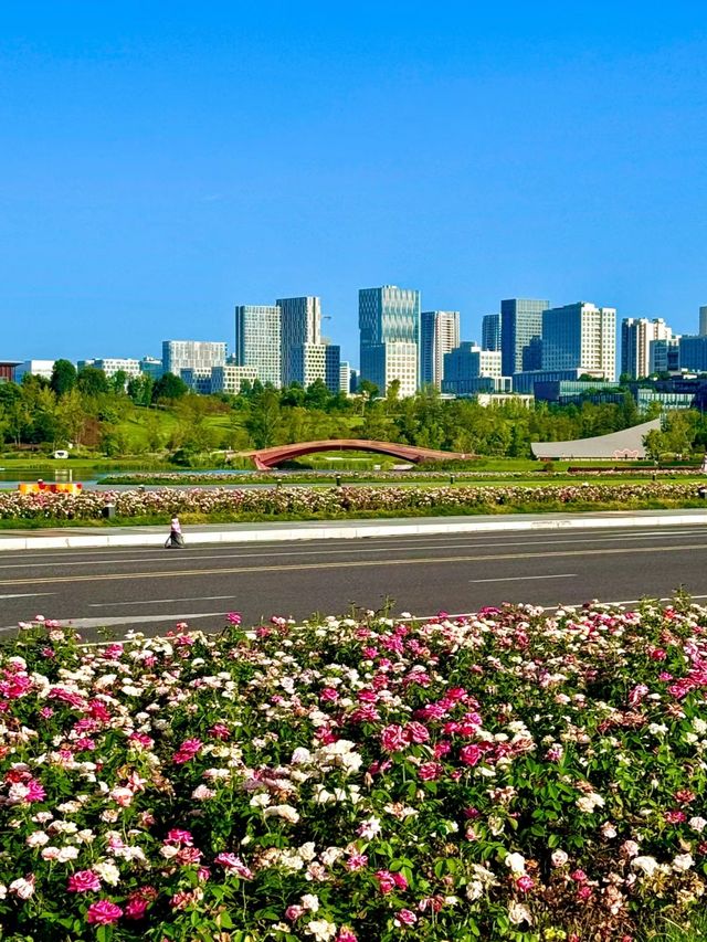 湖濱廣場(興隆湖)