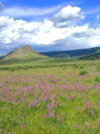 🌟 Mongolian Escapes: Luxe Lodging in Terelj 🏞️✨