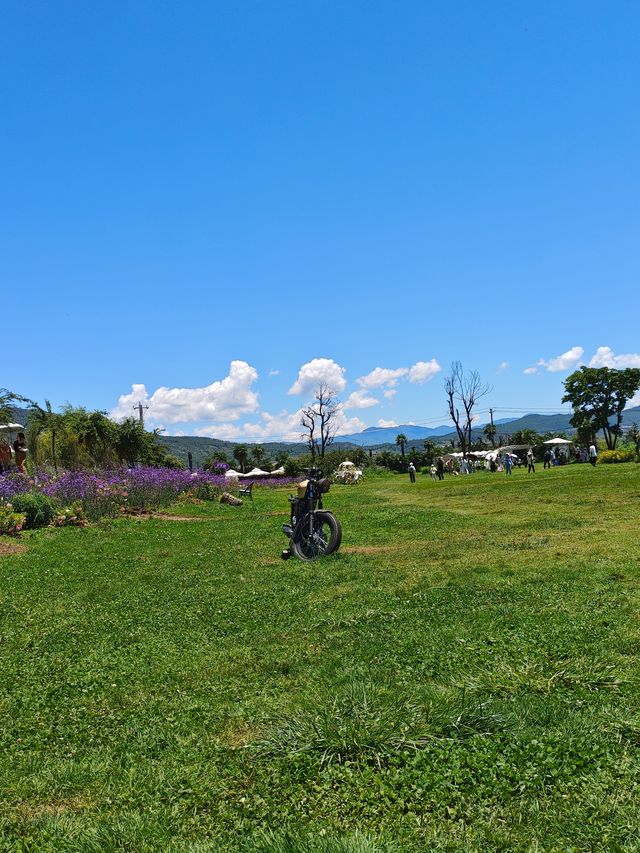 拉市海茶馬古道
