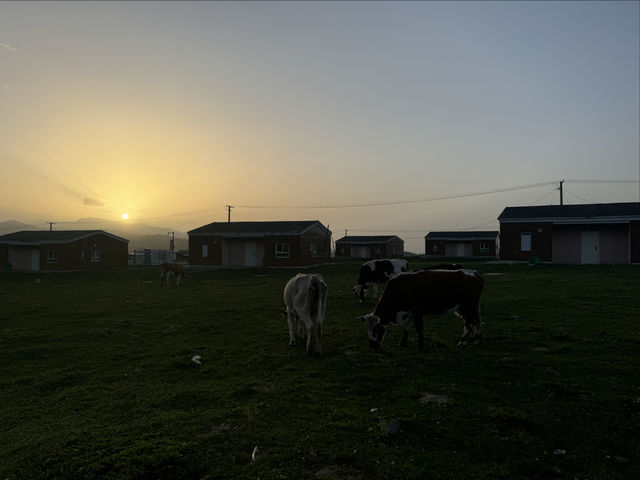 江布拉克兩日遊