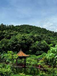 Seek tranquility and escape the summer heat in midsummer, come to Yunfu Xinxing Longshan Hot Spring Hotel!