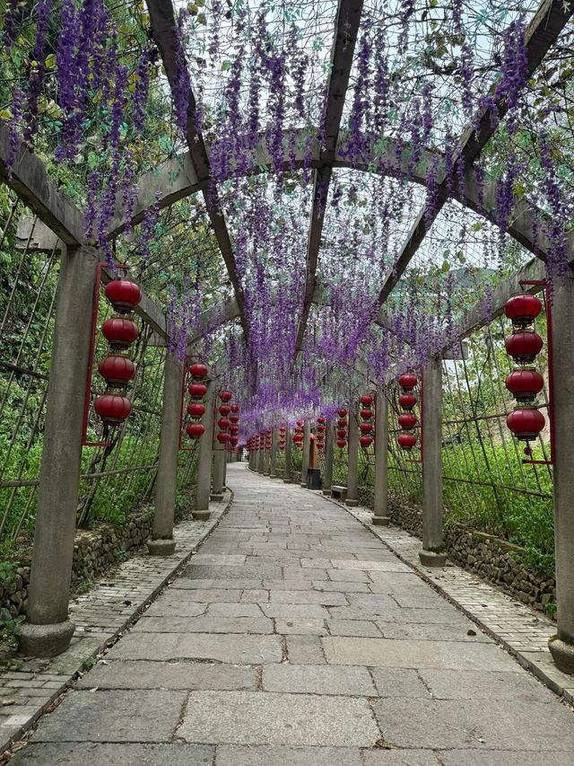 湖州城山溝景區丨夏日遛娃好去處