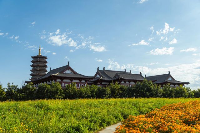吉林長春北湖濕地公園｜一幅充滿生機與活力的畫卷。