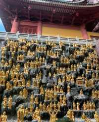 姐妹們！上海東林寺避雷攻略，踩過的坑不要再踩了！