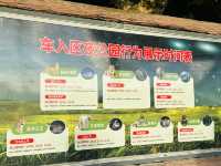 夜遊上海野生動物園
