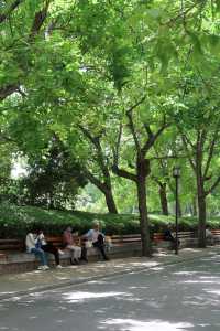 每個城市應該都有個人民公園吧。