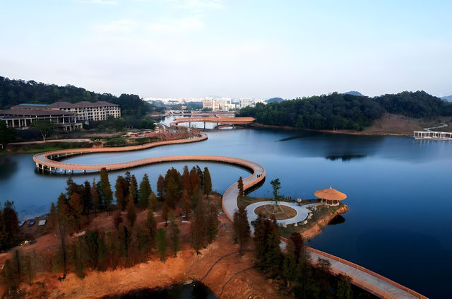 東莞企石東清湖濕地公園——秋天的約會。