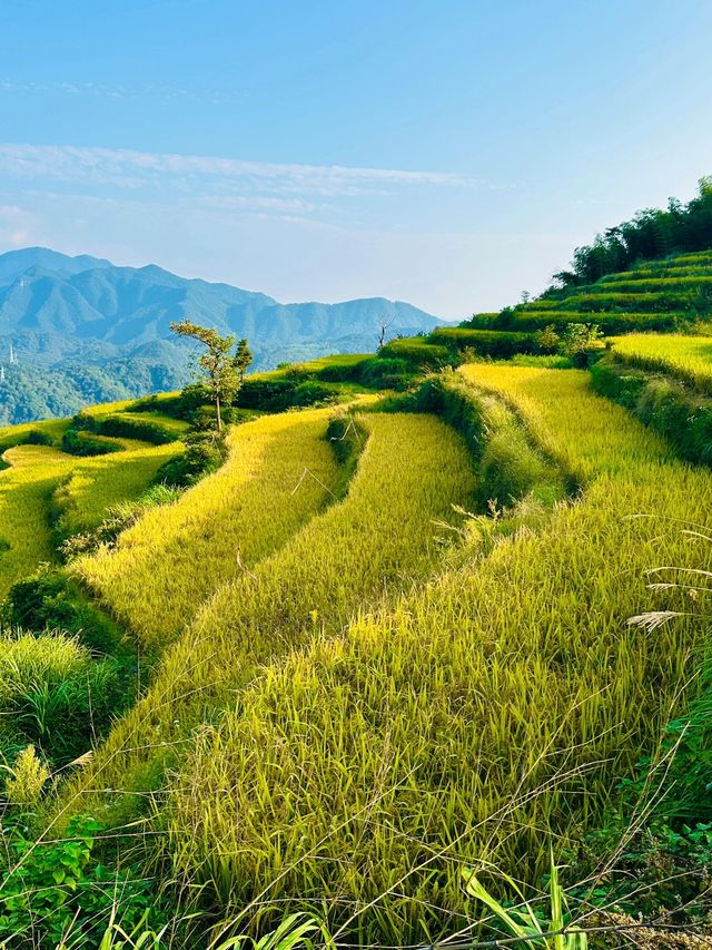 固原梯田｜觸摸大地指紋，邂逅最美梯田。