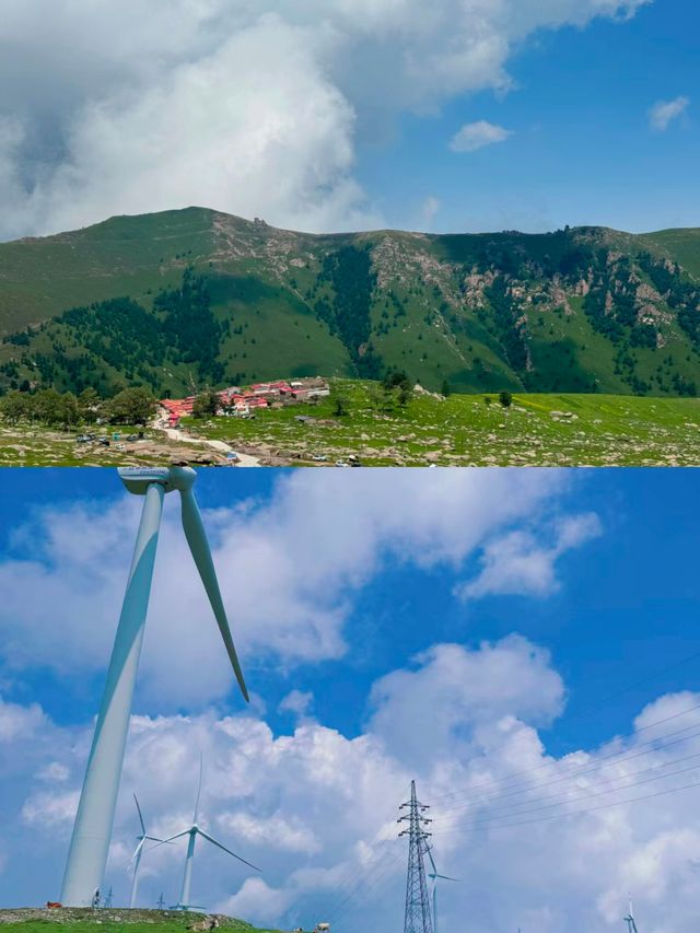 張家口蔚縣茶山。