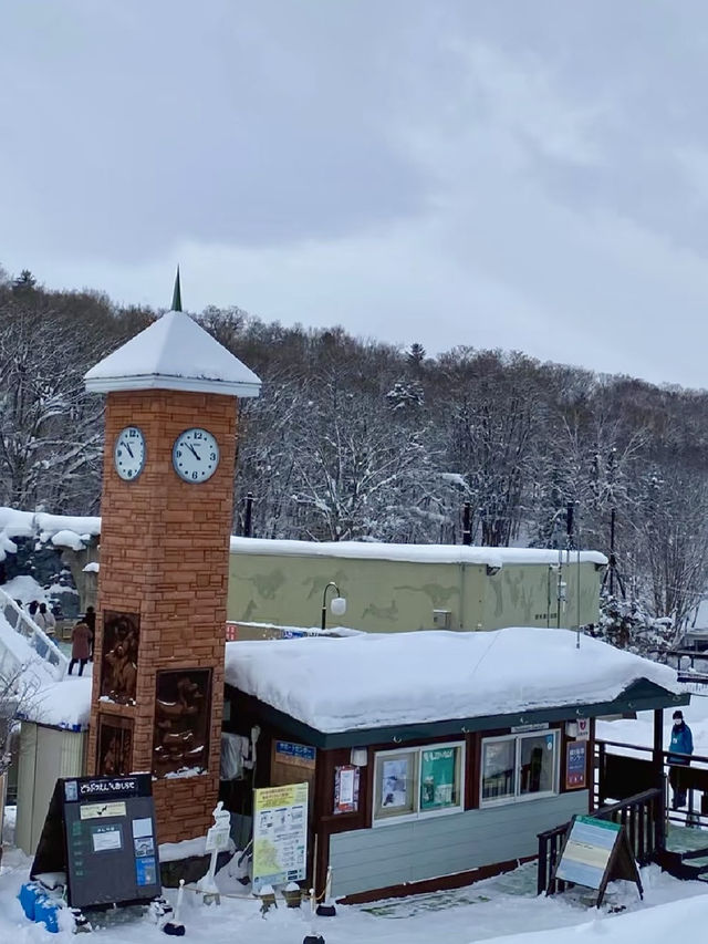 ❄️ 旭山動物園：冬日里的極地動物世界