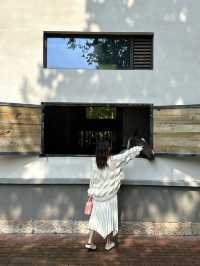 紹興 staycation 住進峭壁野奢 villa。