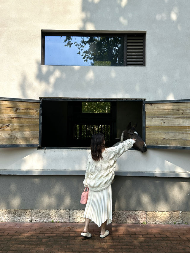 紹興 staycation 住進峭壁野奢 villa。