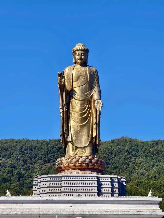 장엄한 불상을 바라보며 중원대불의 신성한 감동을 느껴보세요.